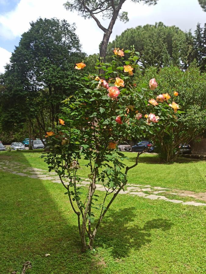 רומא Aurelia Antica Terrace Apt Free Pool And Parking מראה חיצוני תמונה